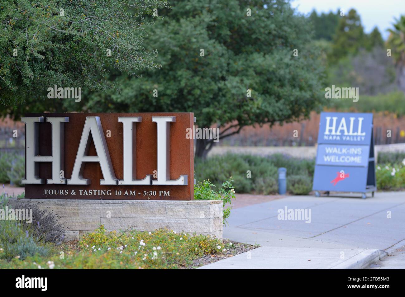 The Hall Wines in una tarda giornata autunnale presso la Napa Valley AVA, Saint Helena CA Foto Stock