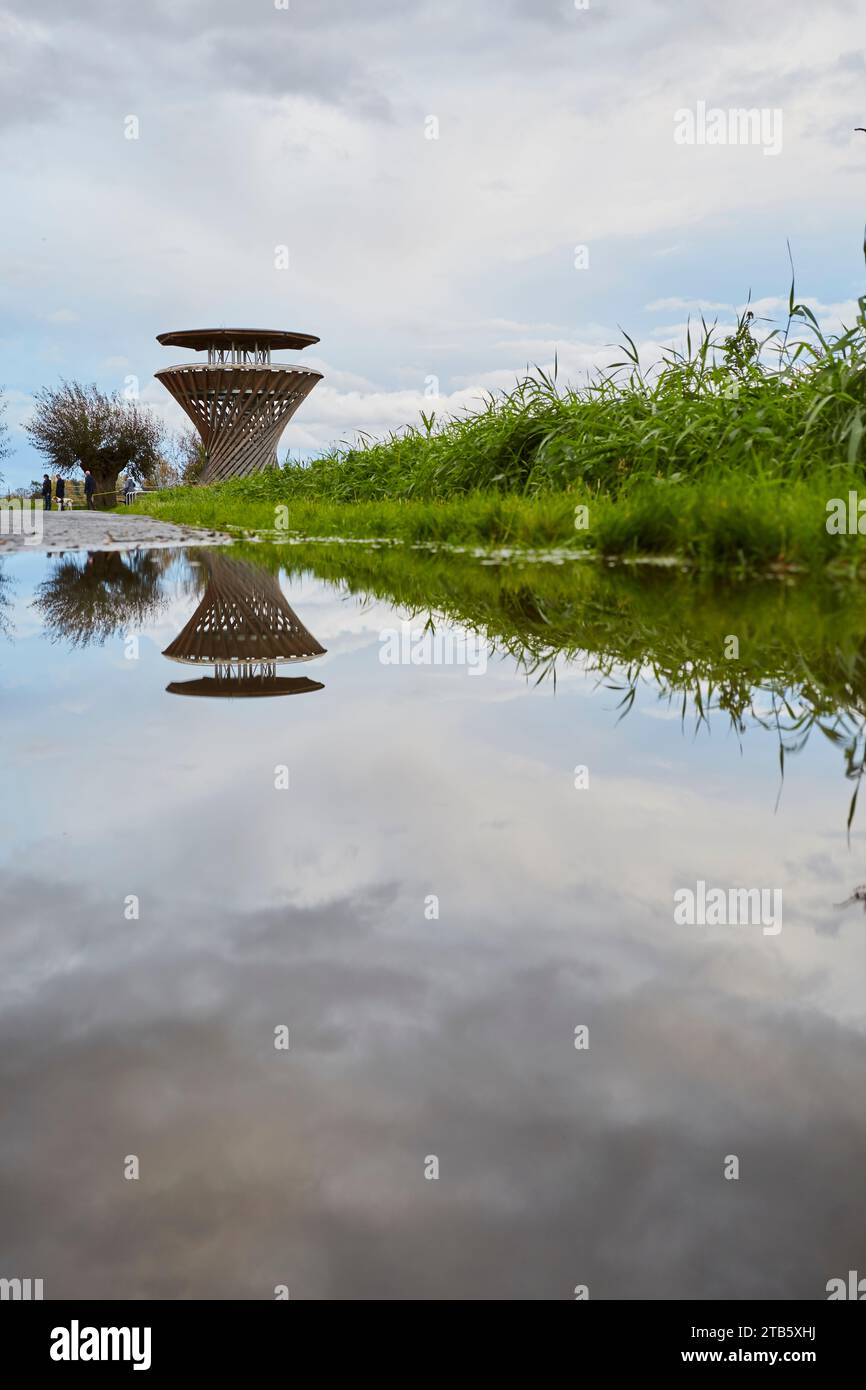 Naturschutzgebiet Woeste, Bad Sassendorf, Kreis Soest Foto Stock