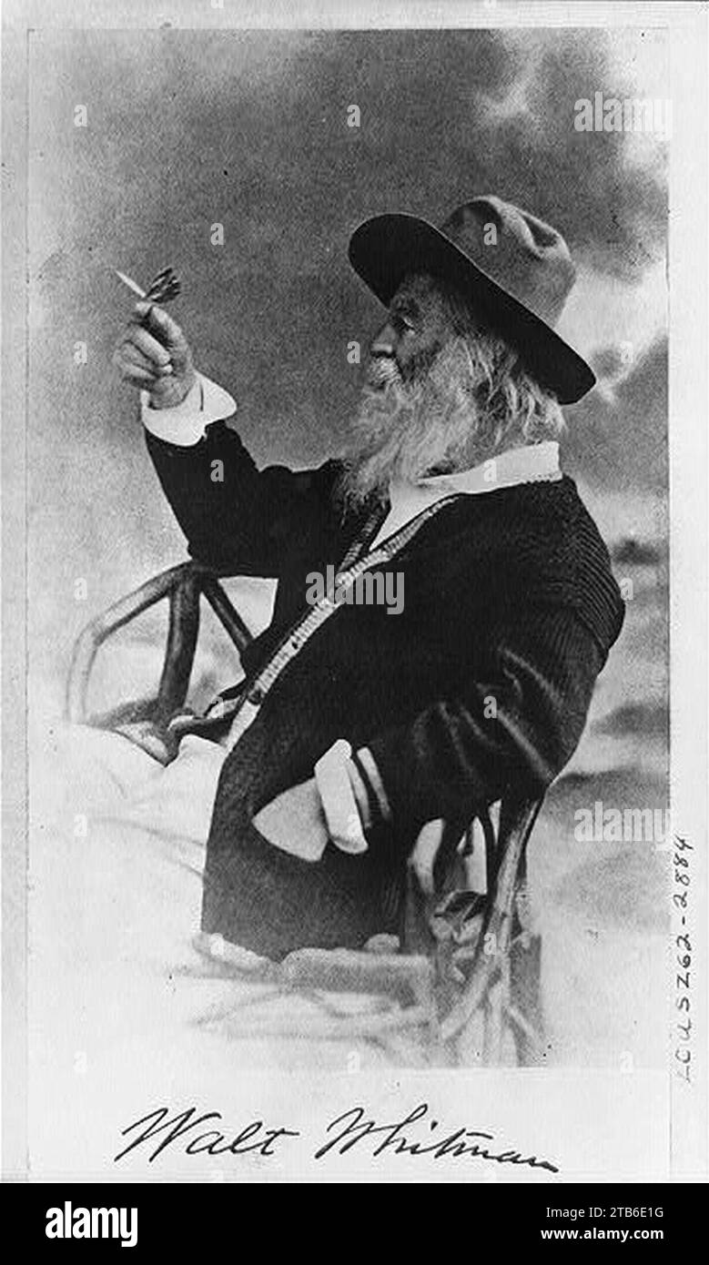Walt Whitman, mezza lunghezza ritratto, seduto, rivolto verso sinistra, indossare un cappello e un maglione, tenendo butterfly Foto Stock