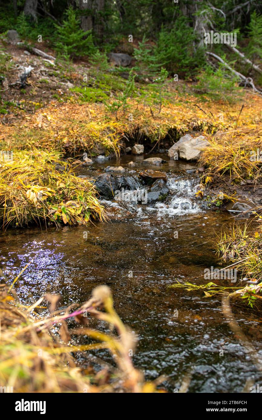 Cascata nella Deschutes National Forest Foto Stock