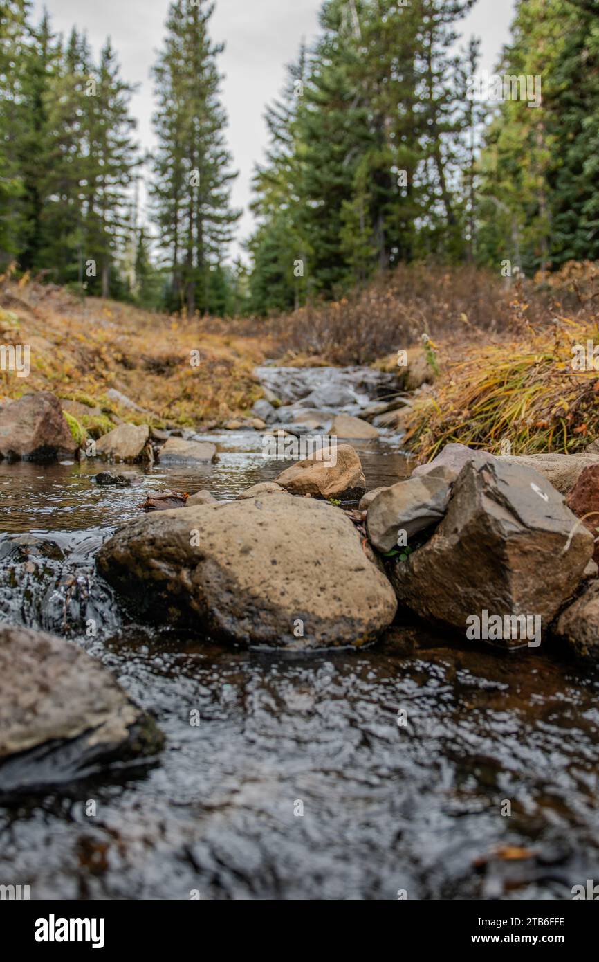 Cascata nella Deschutes National Forest Foto Stock