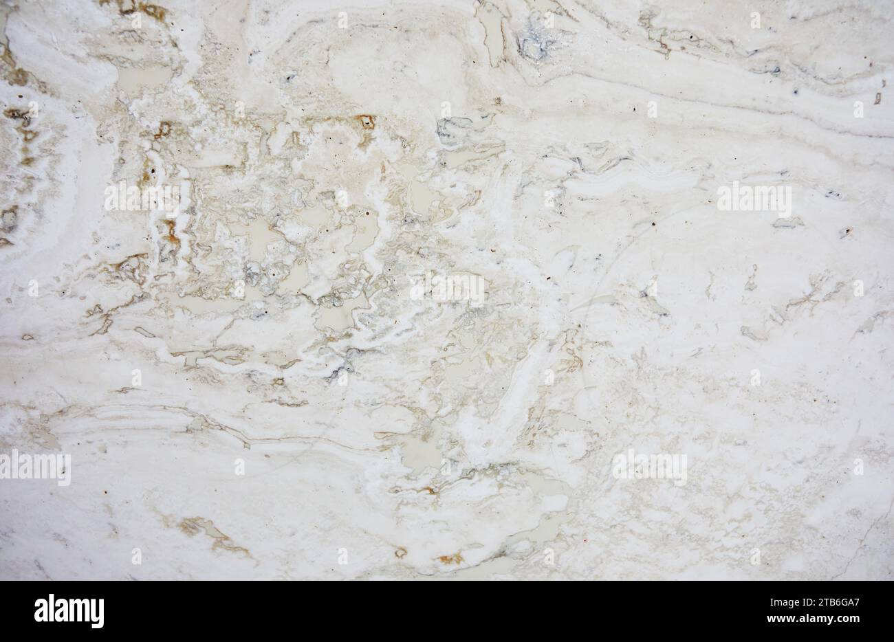 Un elegante e raffinato appartamento interno con lussuose pareti in marmo che aggiungono un'atmosfera sofisticata e opulenta allo spazio abitativo, perfec Foto Stock