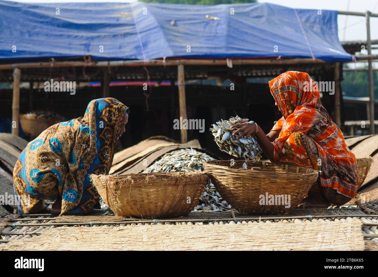 I lavoratori sono impegnati nella lavorazione del pesce essiccato nella zona di Lama Kazi a Sylhet. Ogni anno, quando arriva la stagione invernale, le piccole specie di pesce pescate nel canale fluviale locale, Bilhaor, vengono acquistate a prezzi all'ingrosso, essiccate e vendute a grossisti in diverse parti del paese, con un valore stimato di centinaia di crore di Taka. Circa 70 uomini d'affari costruiscono loft in alcuni luoghi per asciugare le merci. da 1500 a 2000 persone sono coinvolte nel lavoro di essiccazione dei prodotti. Sylhet, Bangladesh. Foto Stock