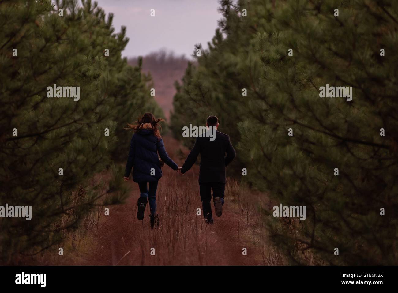 Coppia felice che corre attraverso la foresta tenendosi per mano. Un uomo con un cappotto nero e una giovane donna con un maglione a maglia si divertono in un parco di pini, pla Foto Stock