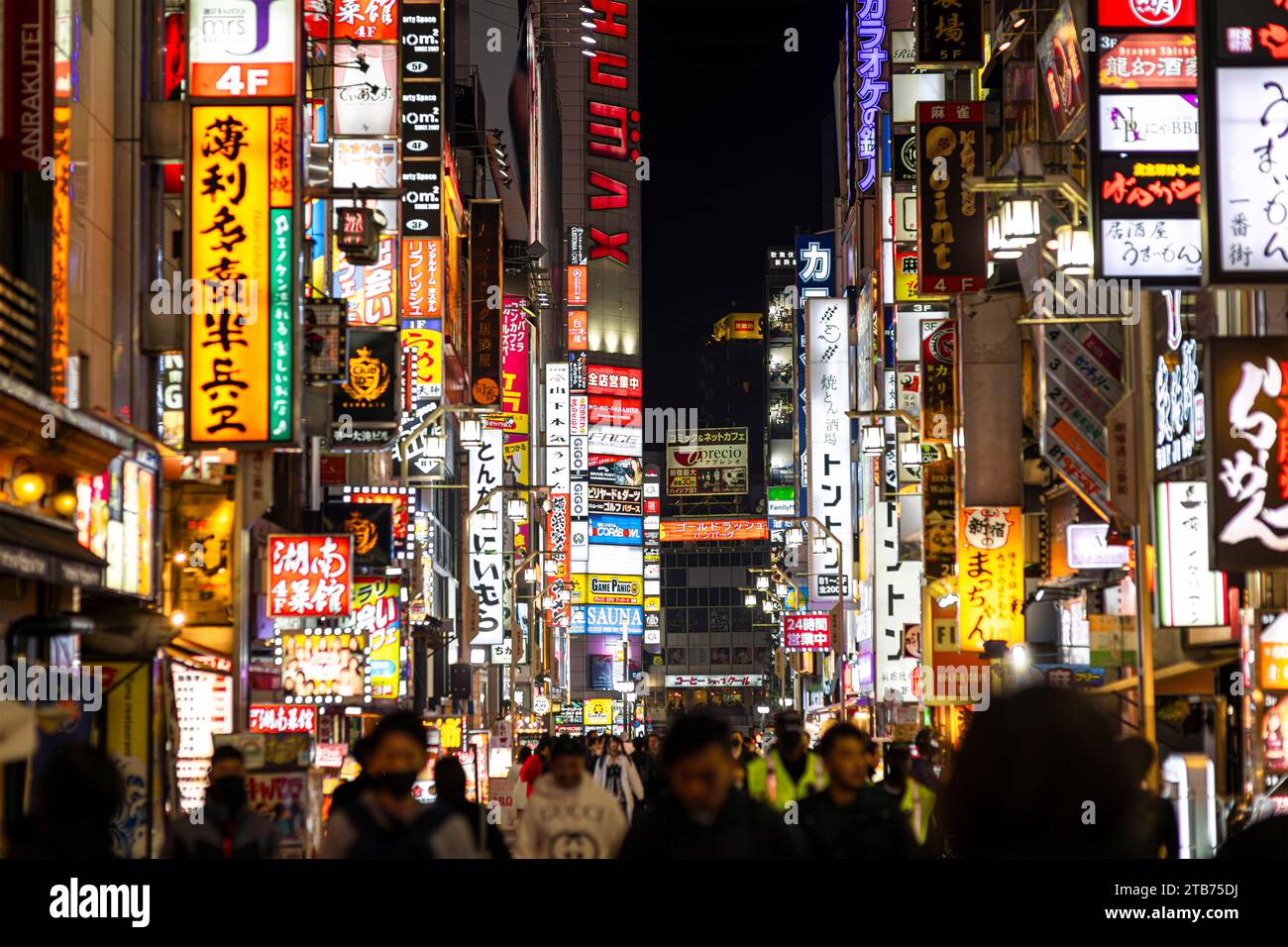TOKYO/GIAPPONE - 19 novembre 2023: Vita notturna a kabukicho, shinjuku. Foto Stock