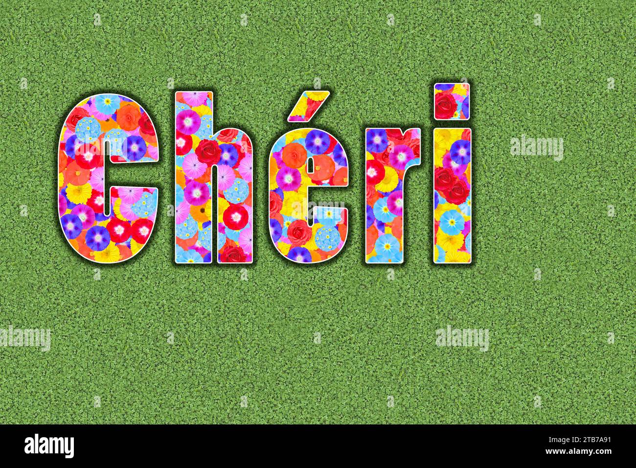 Parola francese Chéri scritta con fiori colorati, grafica Foto Stock