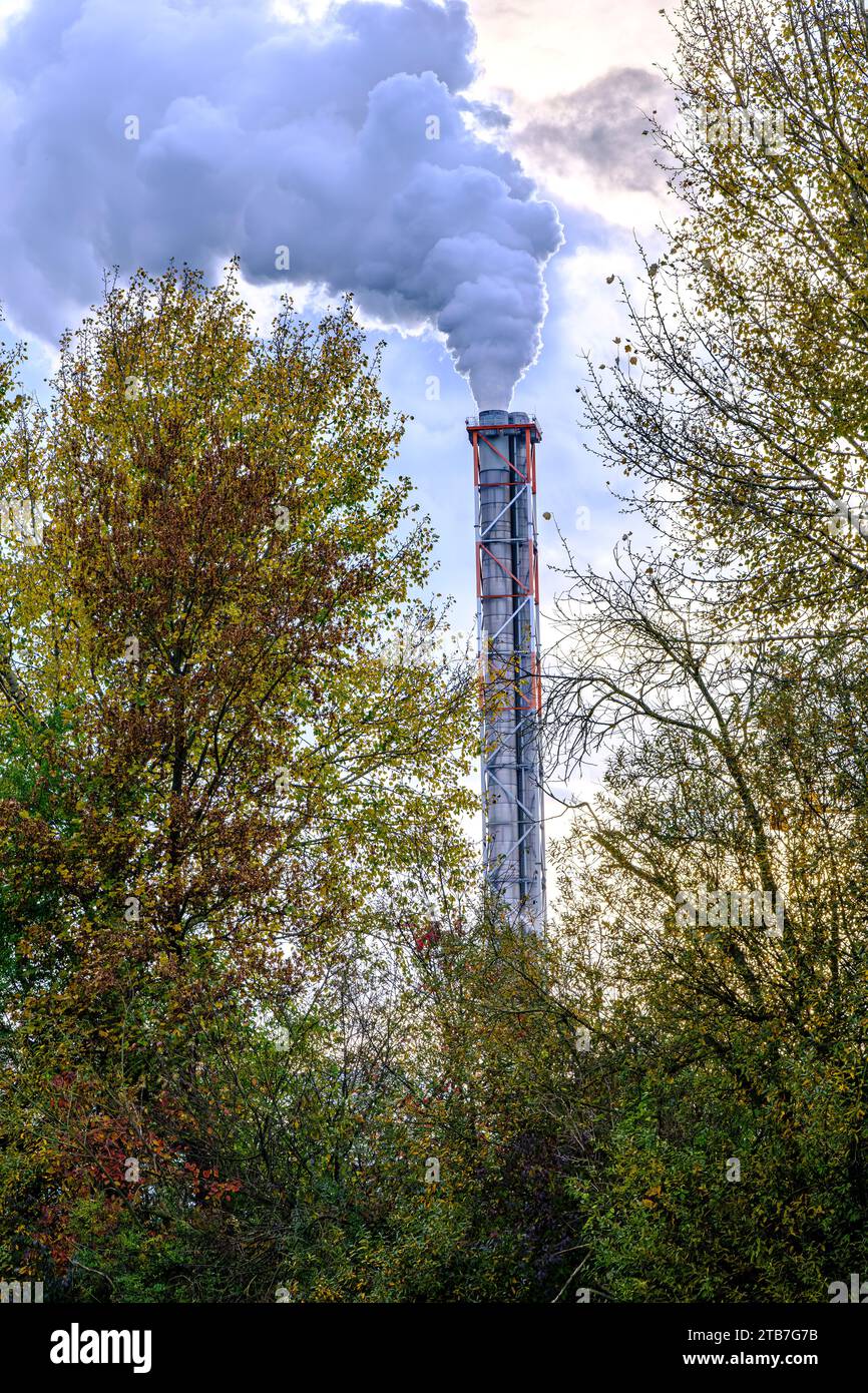 Immagine simbolica, emissione di fumi di scarico dal camino di un impianto industriale nell'ambiente. Foto Stock