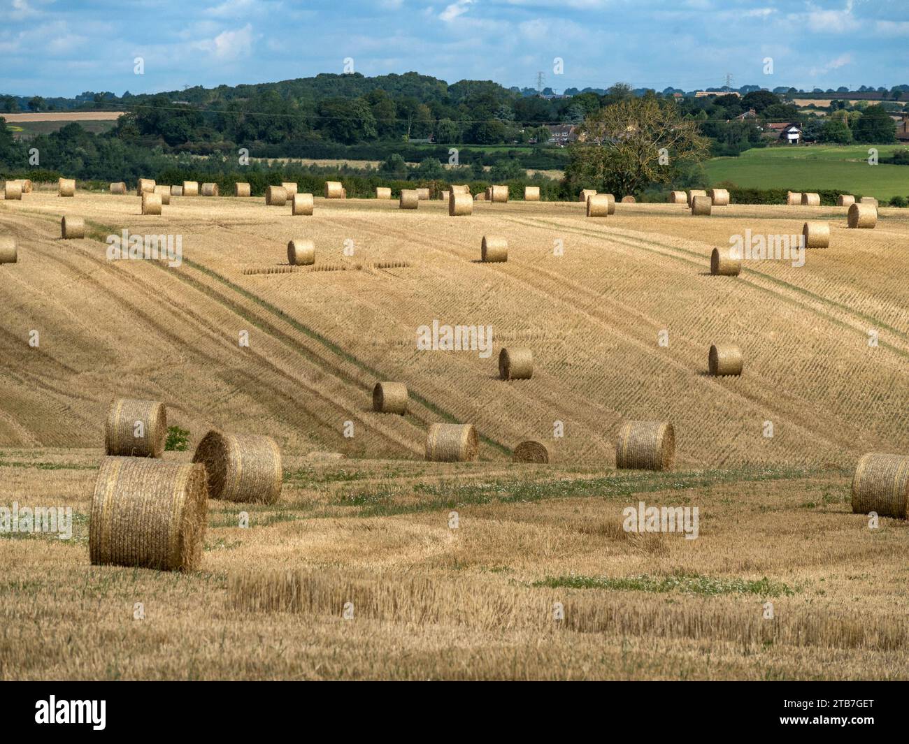 Balle di paglia tonde in campo di mais raccolto, Leicestershire, Inghilterra, Regno Unito Foto Stock