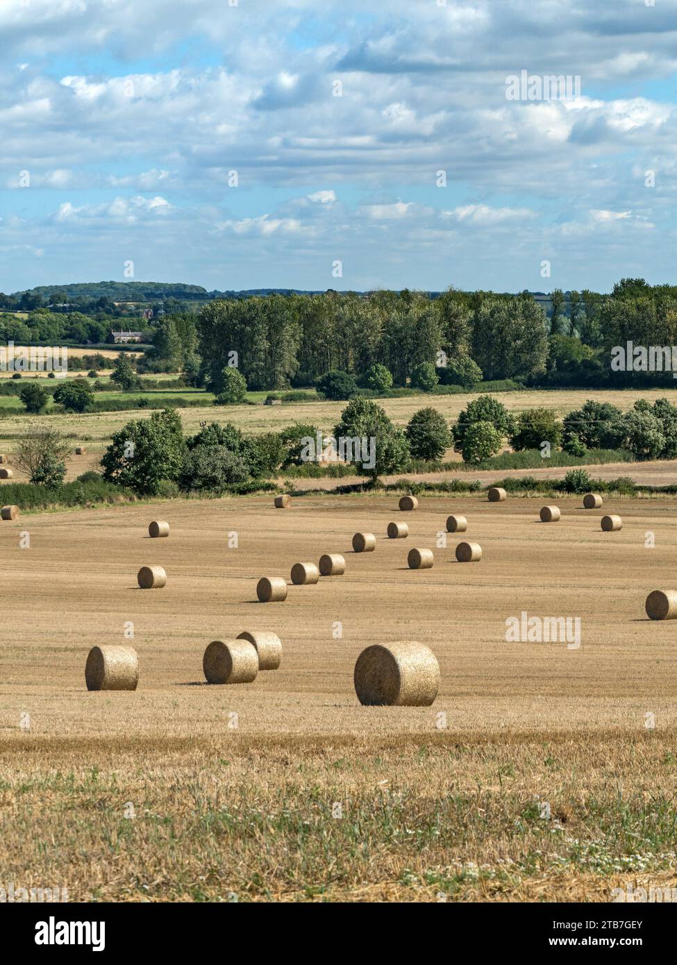 Balle di paglia tonde in campo di mais raccolto, Leicestershire, Inghilterra, Regno Unito Foto Stock