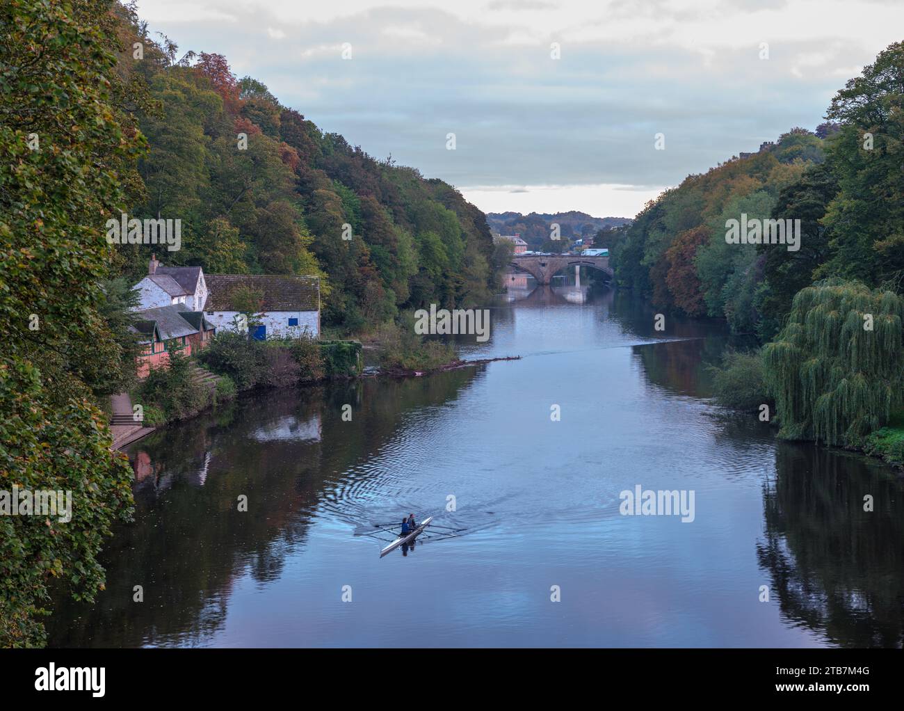 Coppia di canottaggio sul fiume Wear a Durham con Framwellgate Bridge sullo sfondo Foto Stock