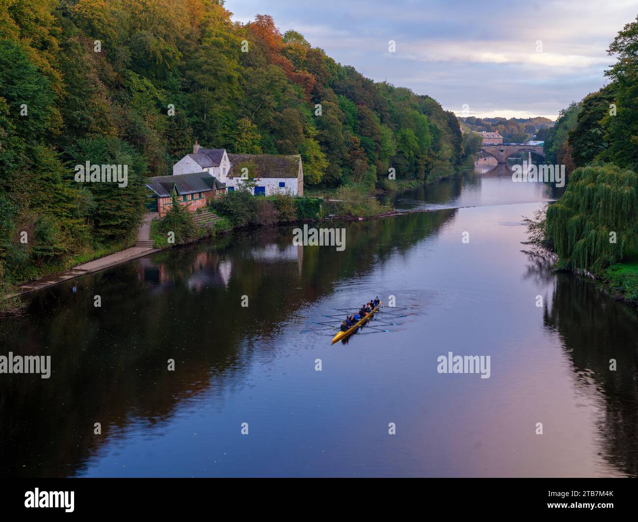 Una femmina coxata otto sul River Wear a Durham durante una splendida mattinata autunnale. Il ponte Framwellgate può essere visto dietro Foto Stock