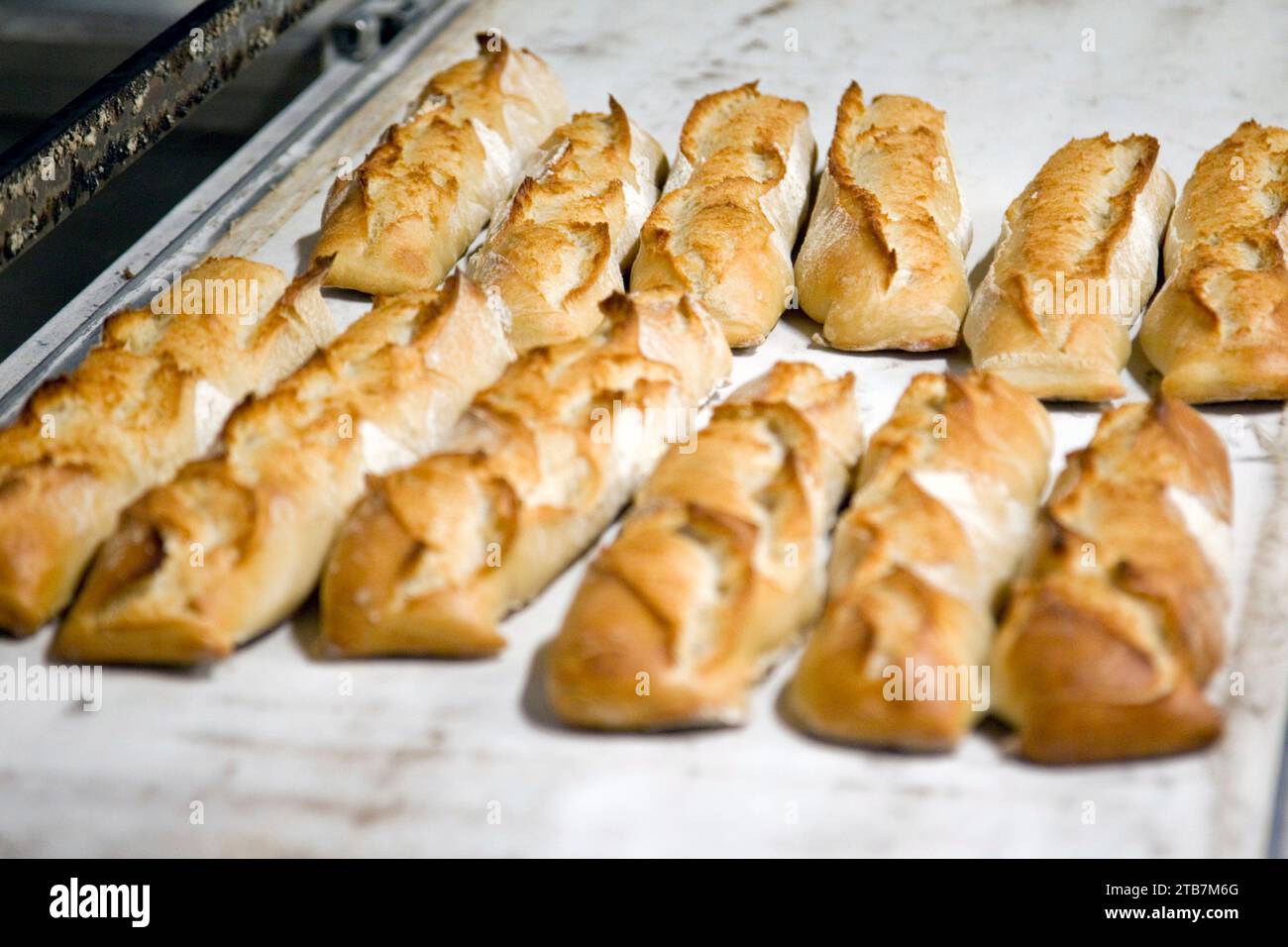 Panetteria: Preparazione del pane in una panetteria. Illustrazione di un panificio che opera con un forno a pellet impatto dell'aumento dei prezzi dell'elettricità. Fresco Foto Stock
