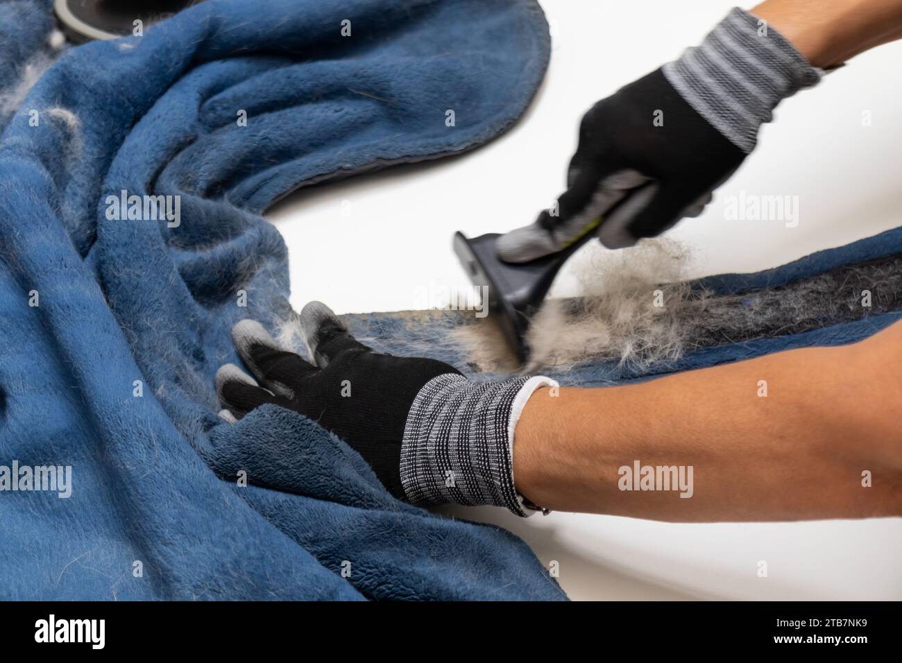 Dall'alto le mani di una persona non riconoscibile tagliate in guanti utilizzando uno strumento per la rimozione delle pellicce per pulire una coperta di peli per animali domestici Foto Stock