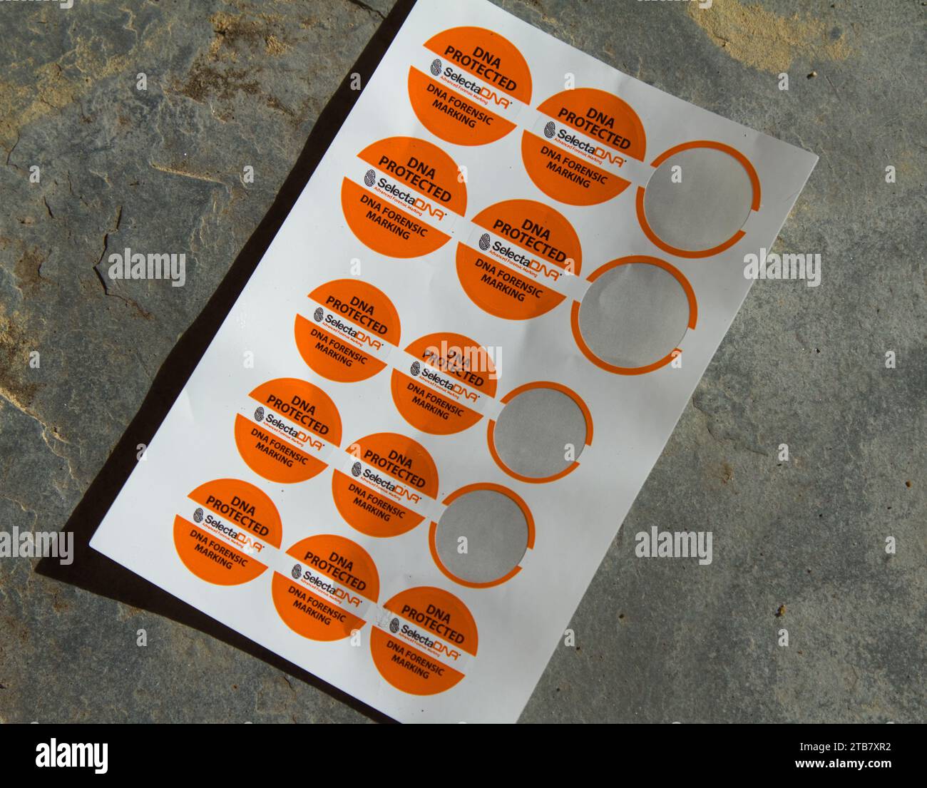 Adesivi con marcatura forense avanzata SelectaDNA utilizzati per indicare un articolo che è stato contrassegnato in modo sicuro contro il furto, Regno Unito Foto Stock