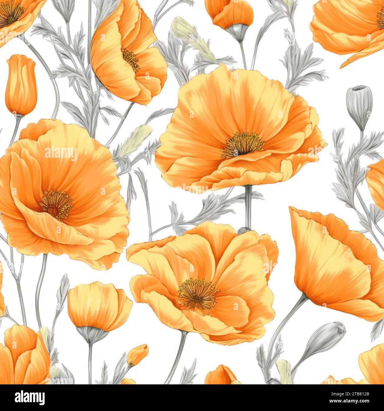 Questa immagine presenta un vivace fiore di papavero arancione su uno sfondo bianco nitido Foto Stock