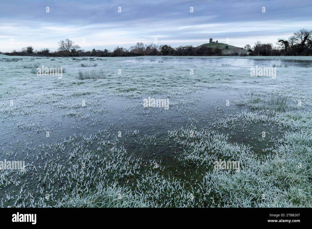 Morrning freddo e gelido vicino a Burrow Mump sui livelli di Somerset, Burrowbridge, Somerset, Inghilterra. Inverno (gennaio) 2023. Foto Stock