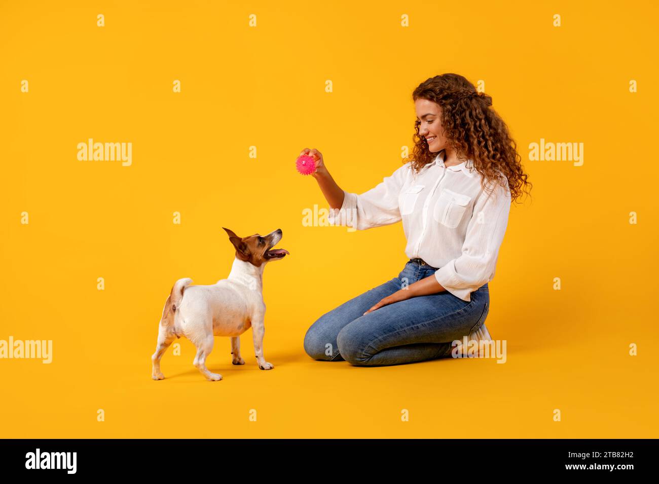 La donna gioca con il cane sullo sfondo giallo Foto Stock