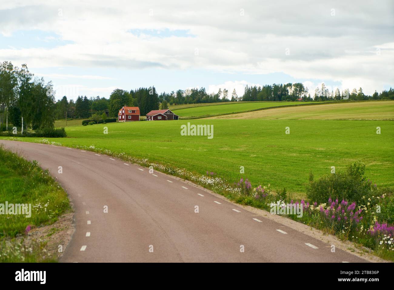 Curva a sinistra in strada di campagna con campo verde e fattoria svedese in estate Foto Stock