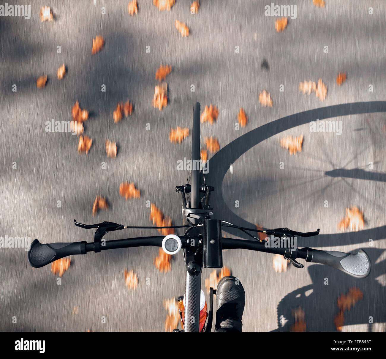 Vista dall'alto del ciclista che corre in bici su strada asfaltata con foglie autunnali. Sfocatura movimento. Foto Stock