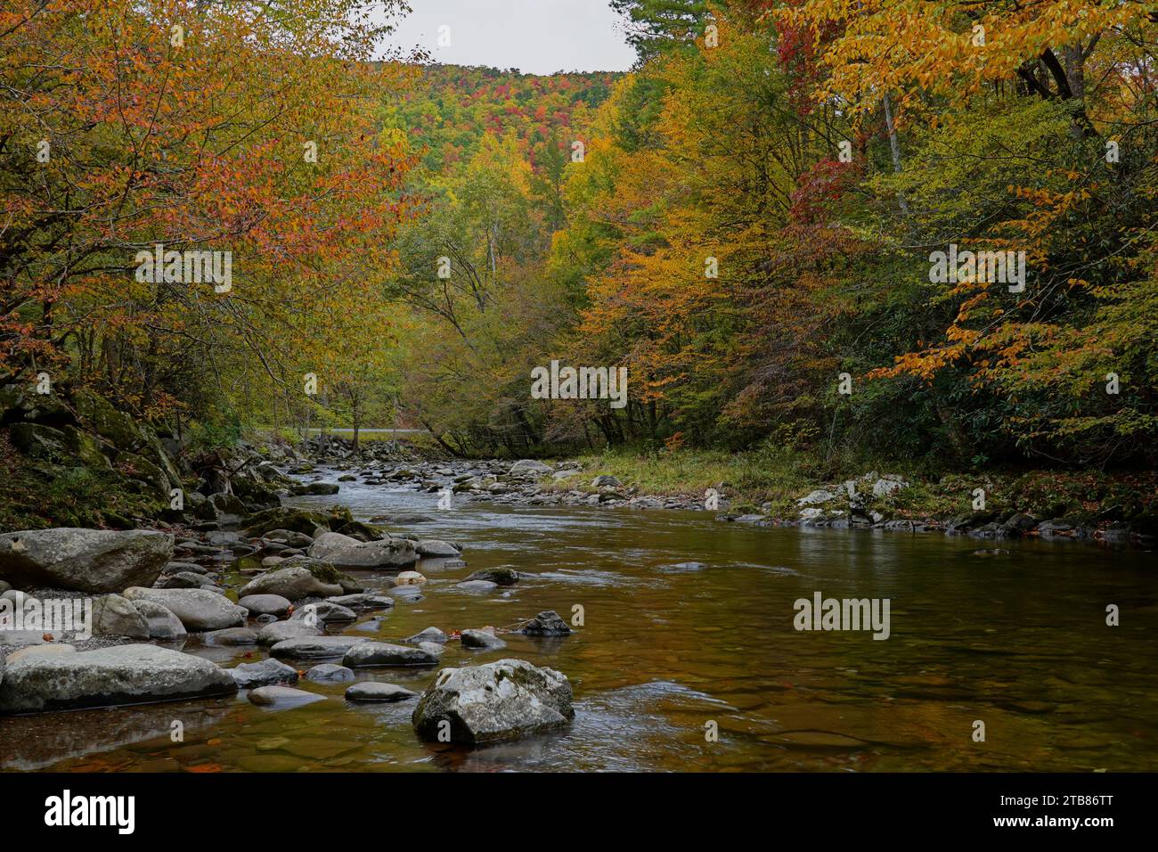 Little River nel Great Smoky Mountains National Park, circondato dai colori autunnali Foto Stock