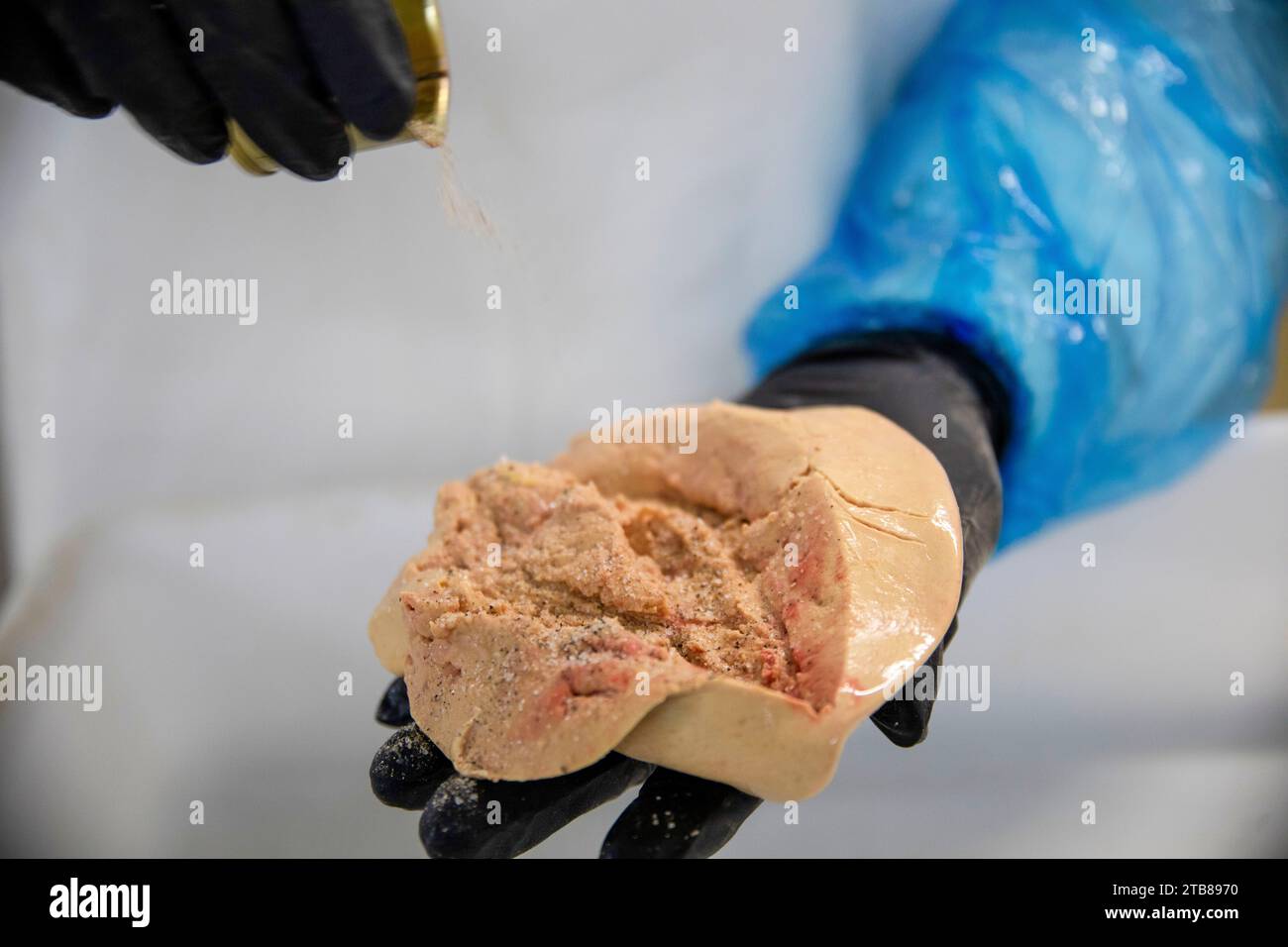 Preparazione del foie gras d'anatra nell'azienda agricola le Haut-Pouyet a Saint-Aubin, nel dipartimento delle Landes (Francia sud-occidentale). Foie gras condito con sale A. Foto Stock