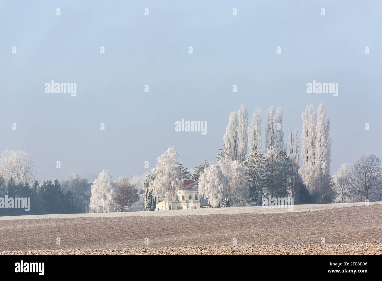 Casa isolata, circondata da alberi sequestrati dal gelo invernale, sotto un raggio di sole Foto Stock