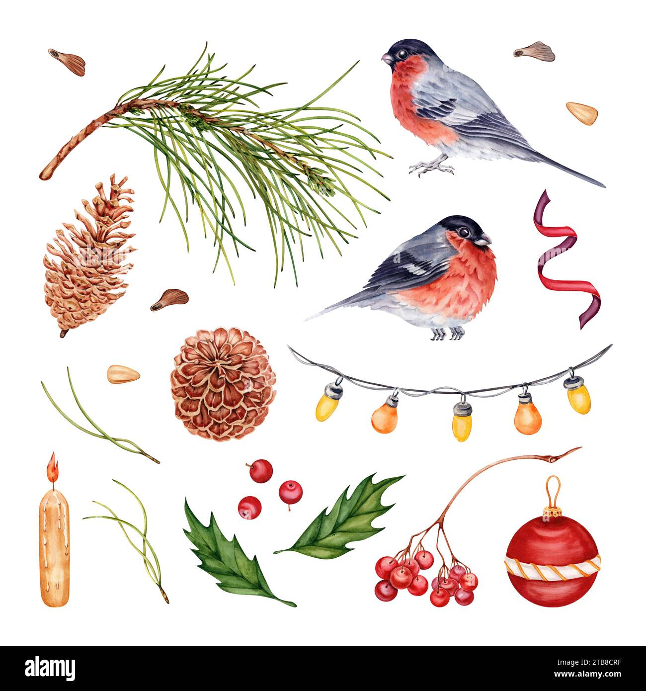 Collezione Christmas Elements. Ramo di pino, coni, noci e semi. Bullfinch, holly, bacche di rowan, nastro, palline e luci per alberi. Acquerello Foto Stock