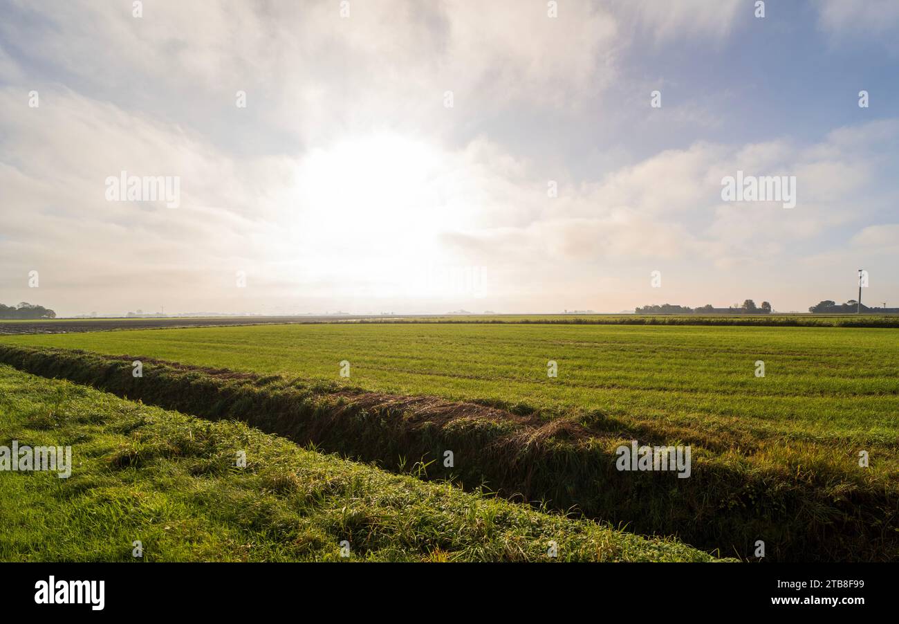 Paesaggi di campagna al di fuori della città di Ferwert, Paesi Bassi Foto Stock