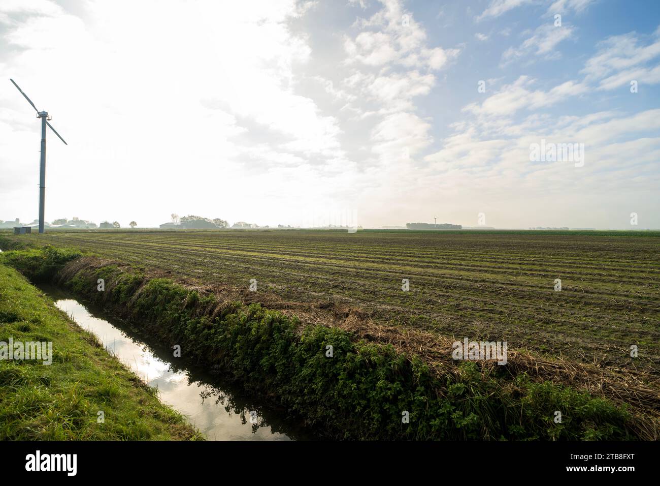 Campi agricoli a Noard-East Fryslan, Paesi Bassi Foto Stock