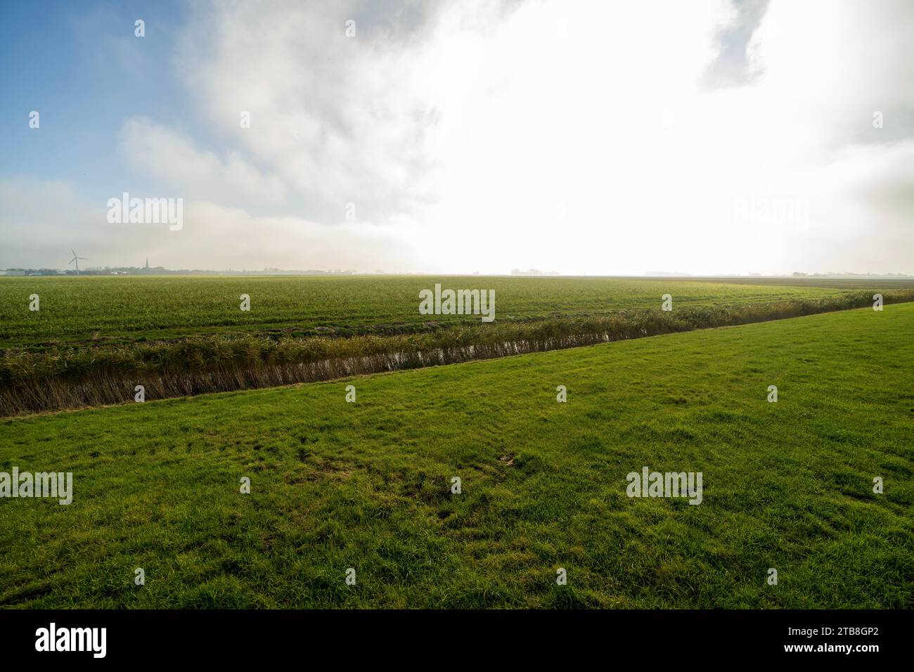 Campi agricoli vicino a Holwert, Paesi Bassi Foto Stock