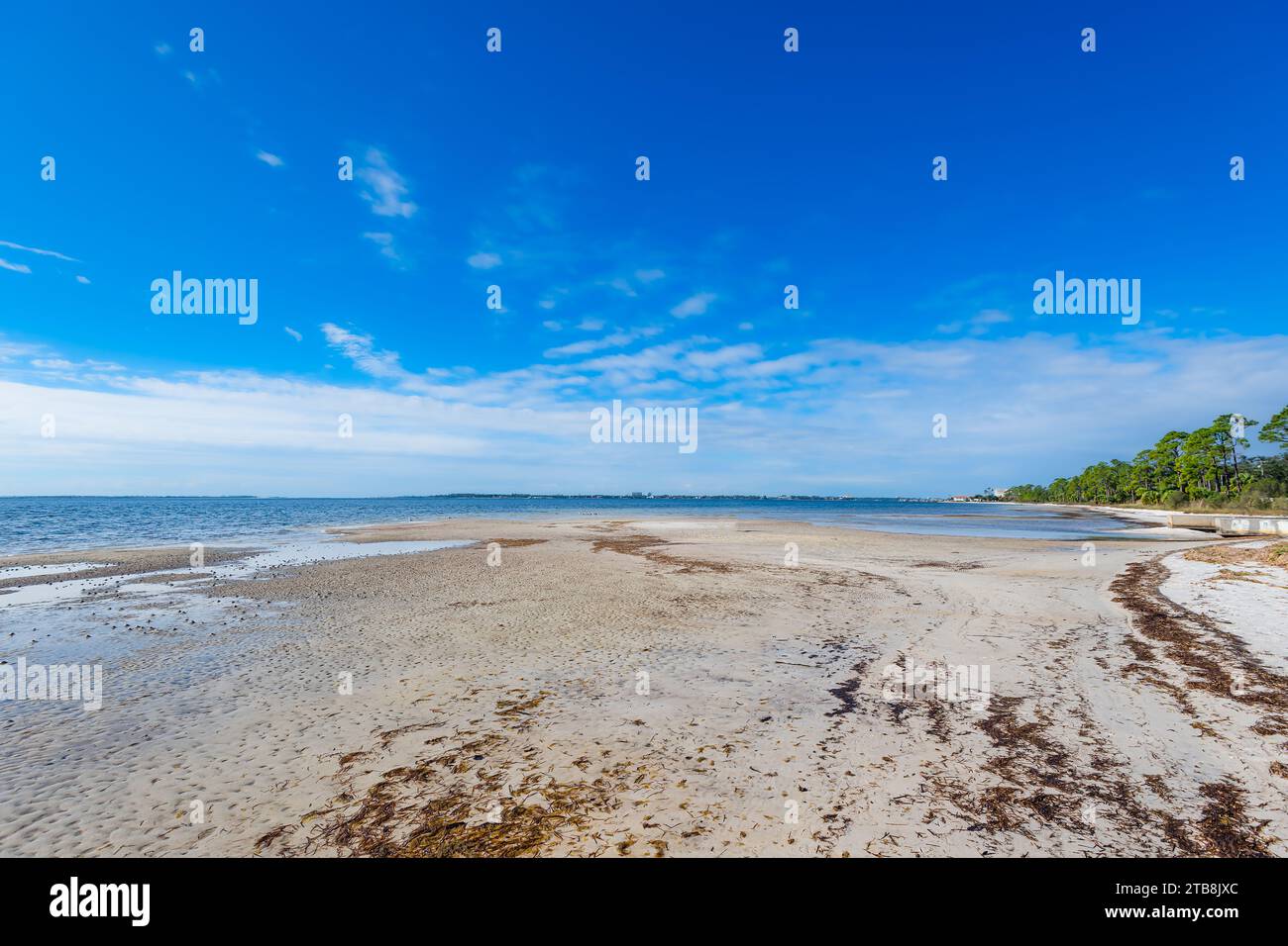 Bellezza tranquilla lungo St Andrews Bay a Panama City, Florida, dove le coste baciate dal sole incontrano il dolce abbraccio delle acque smeraldo, creando un pict Foto Stock
