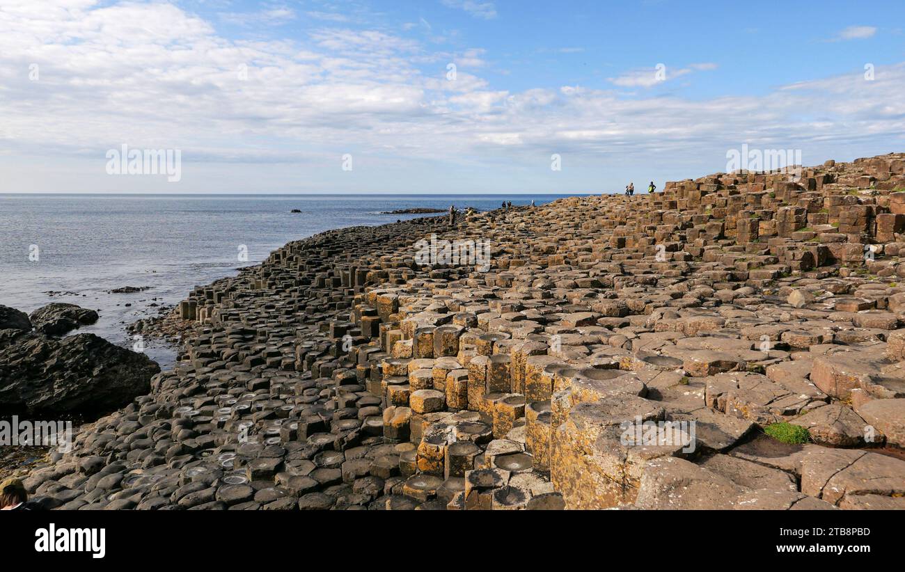 Irlanda del Nord, Contea di Antrim: Il Selciato del gigante, dichiarato patrimonio dell'umanità dall'UNESCO nel 1986. È un'area di circa 40.000 BAS interbloccanti Foto Stock
