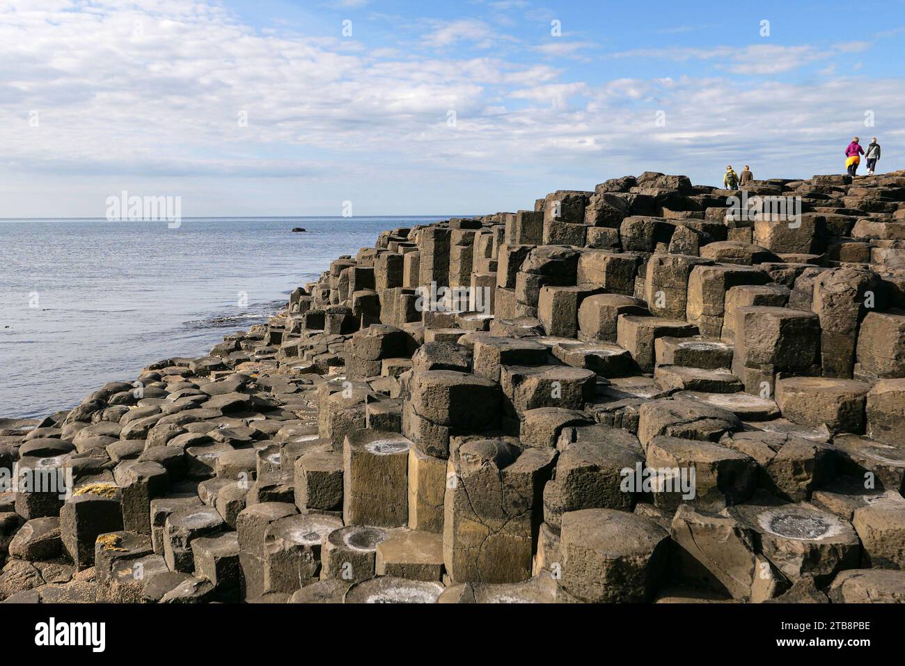 Irlanda del Nord, Contea di Antrim: Il Selciato del gigante, dichiarato patrimonio dell'umanità dall'UNESCO nel 1986. È un'area di circa 40.000 BAS interbloccanti Foto Stock