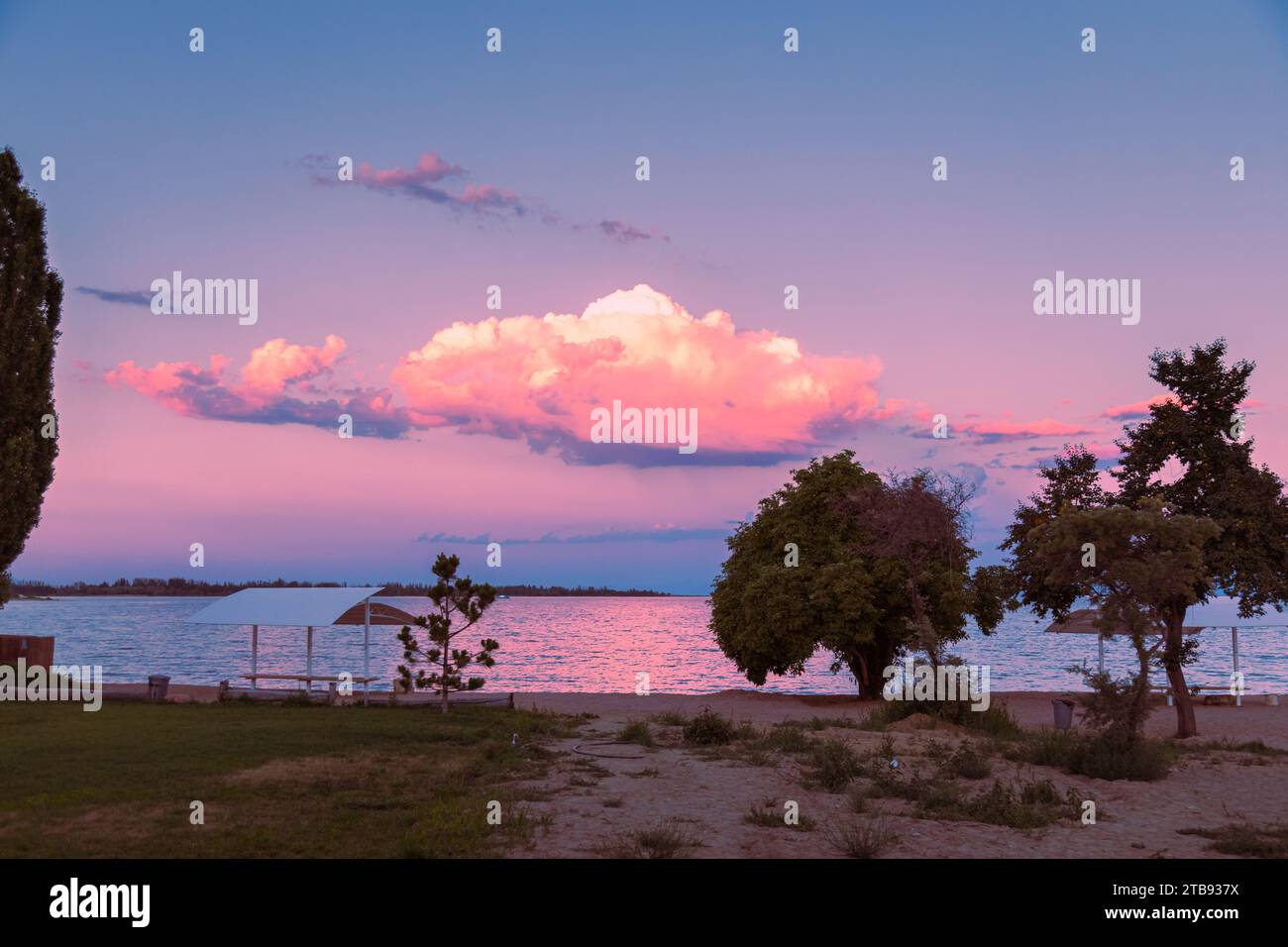 Incredibile tramonto colorato sul lago con un'enorme nuvola e una silhouette ad albero Foto Stock
