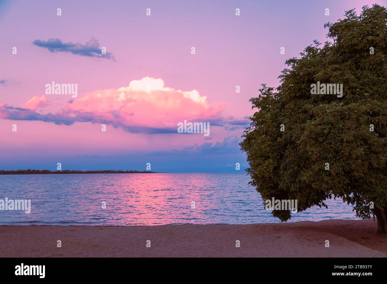 Incredibile tramonto colorato sul lago con un'enorme nuvola e una silhouette ad albero Foto Stock