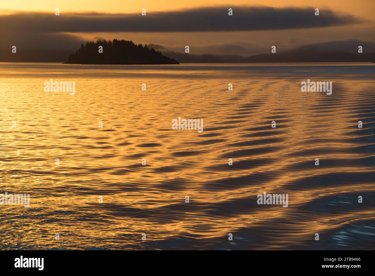 Riflessi nell'acqua dorata ondulata dello stretto di Johnson al tramonto; British Columbia, Canada Foto Stock