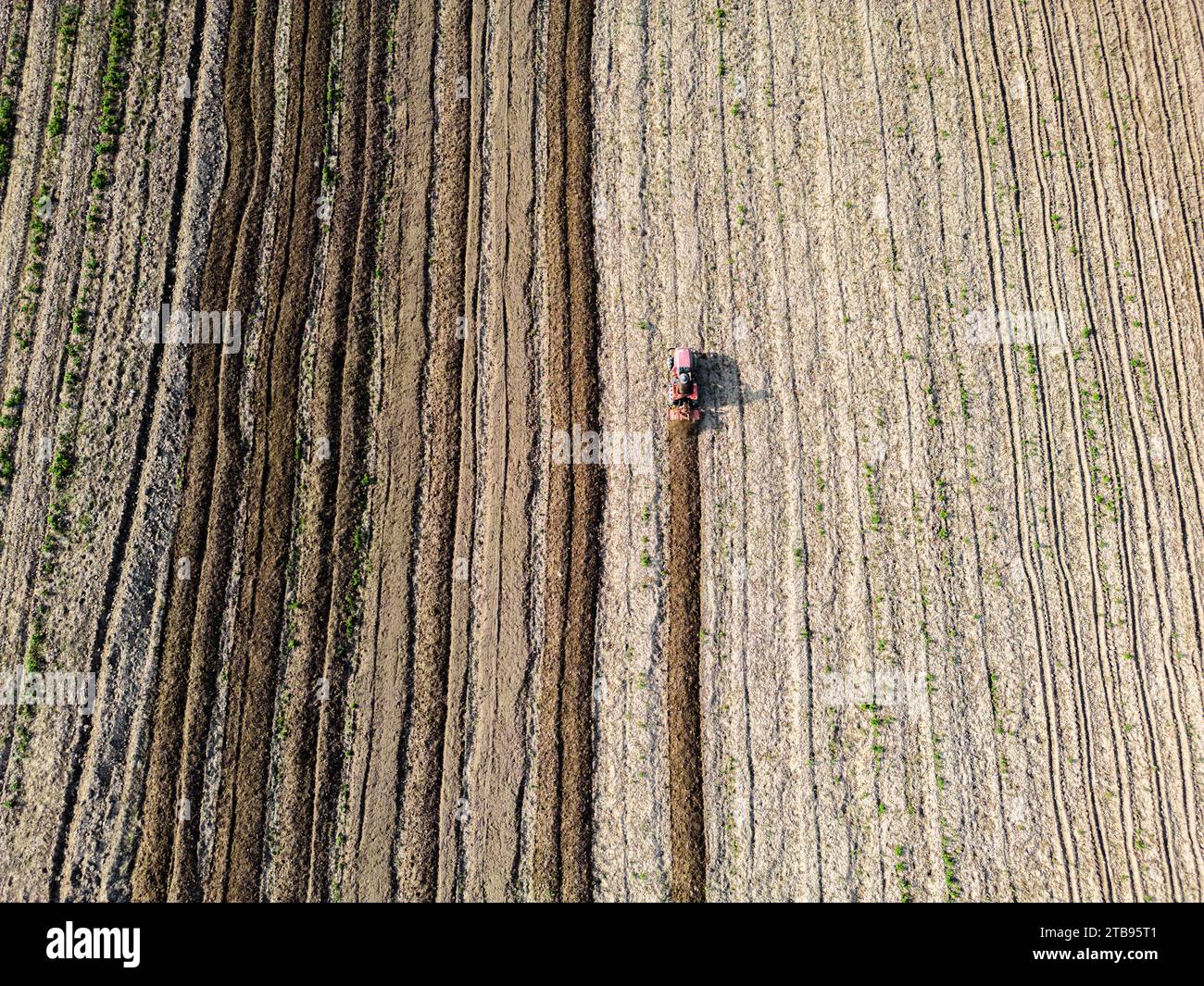 Vista aerea del trattore che ara il campo agricolo Foto Stock