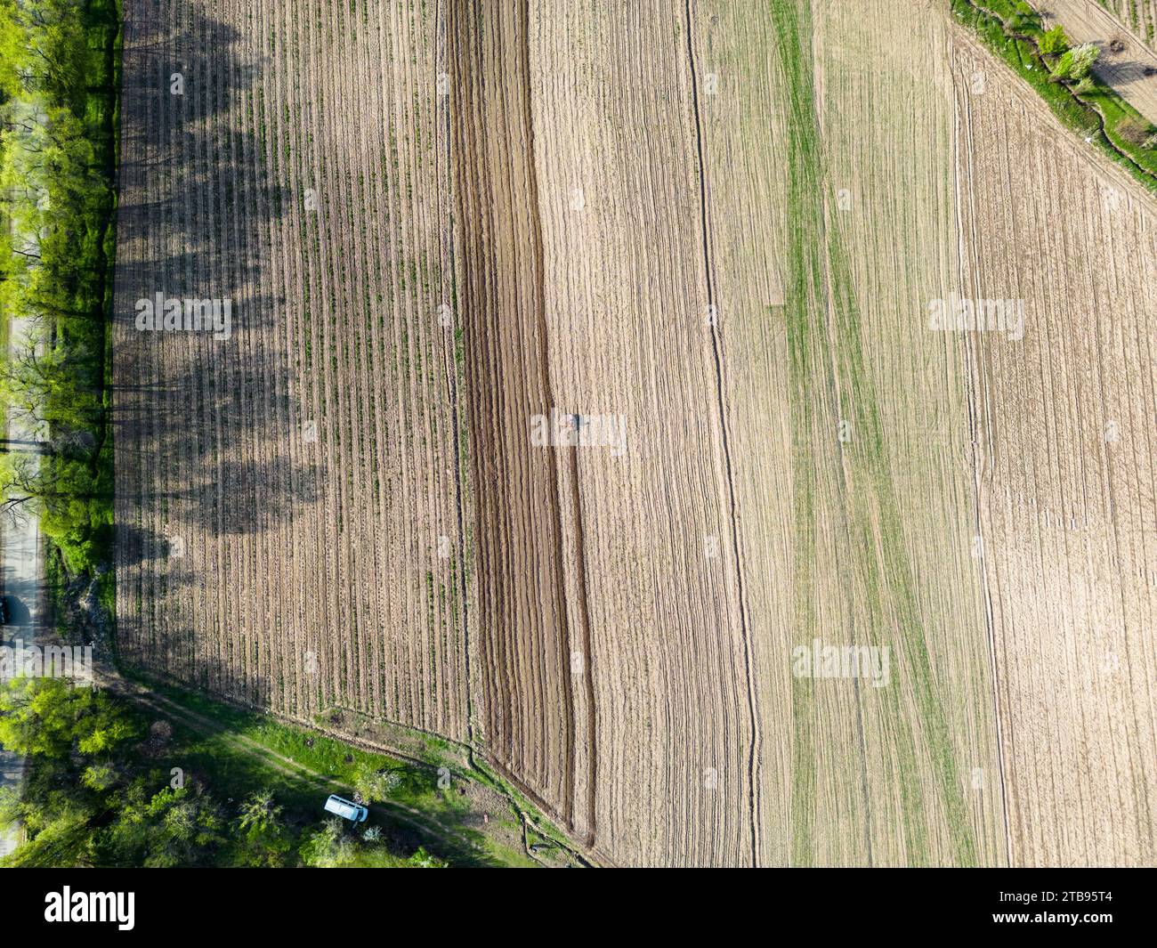 Vista aerea del trattore che ara il campo agricolo Foto Stock