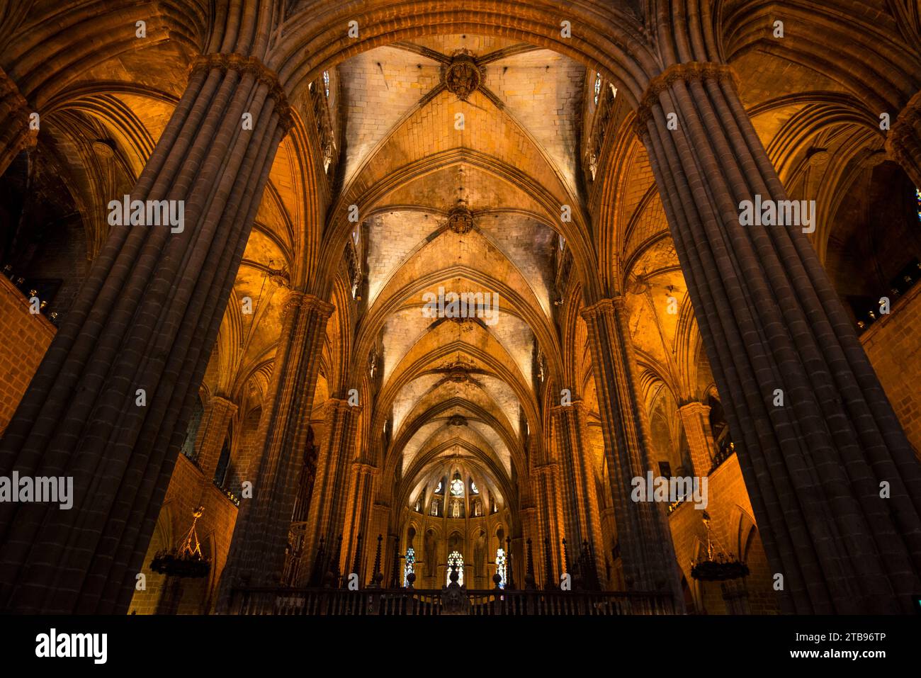 Vista delle colonne e del soffitto a volta della cattedrale di Barcellona; Barcellona, Spagna Foto Stock