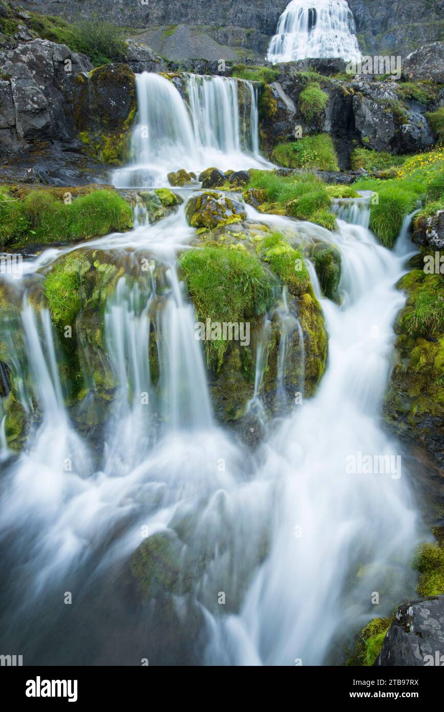 Due piccole cascate e la più grande cascata Dynjandi sullo sfondo; l'Islanda Foto Stock
