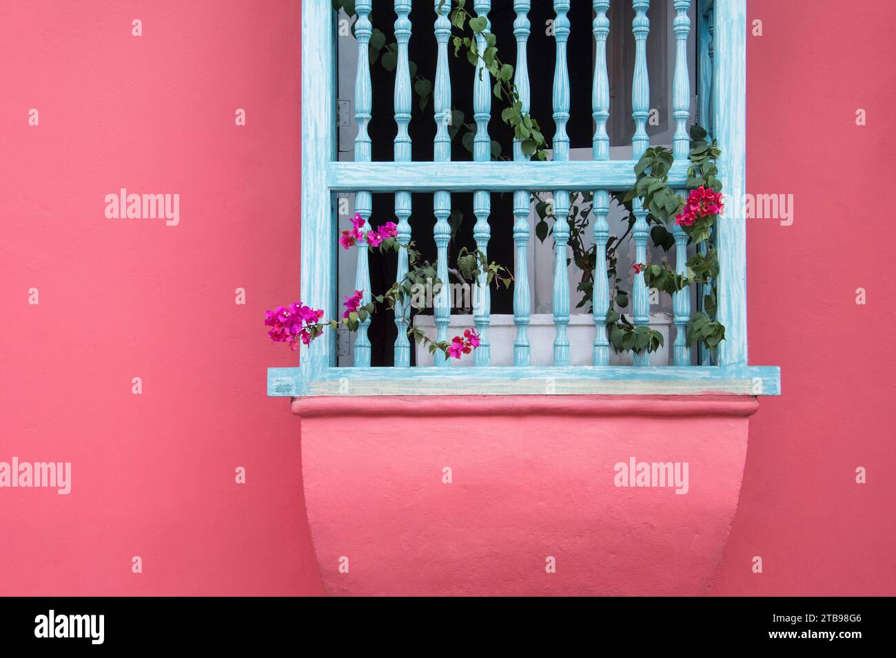Dettaglio di un edificio rosa e fiori di davanzale della finestra; Cartagena, Bolivar, Colombia Foto Stock