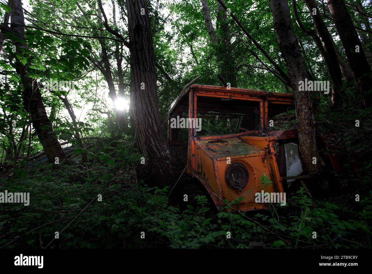 Jeep arancio d'epoca abbandonata in una foresta di burroni; Bear River, nuova Scozia, Canada Foto Stock