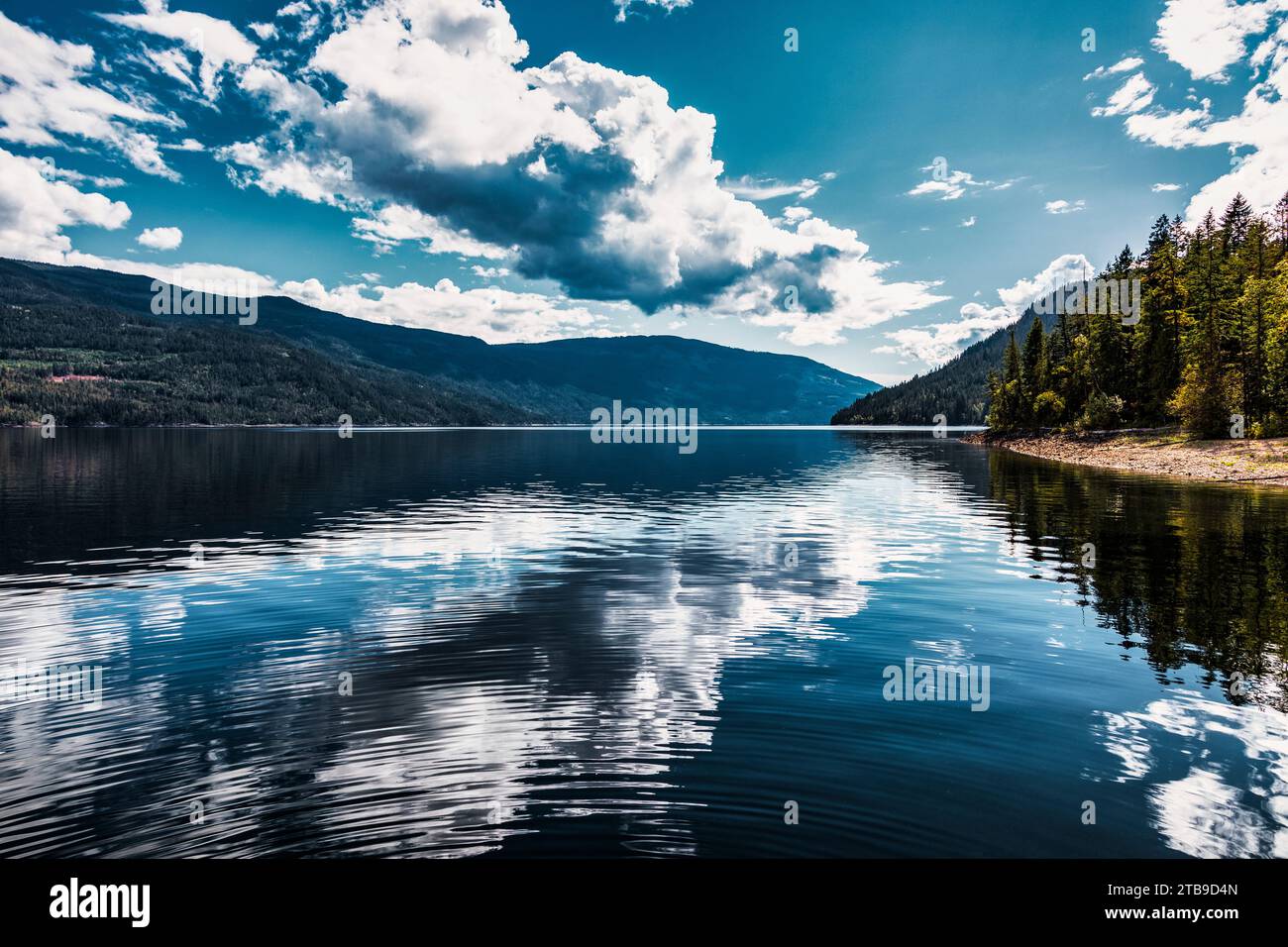 Splendido lago Shuswap durante la stagione autunnale; British Columbia, Canada Foto Stock