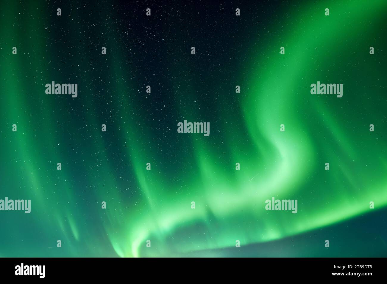 Cielo con luci polari verdi e stelle. Aurora boreale aurora boreale nel cielo notturno invernale Foto Stock