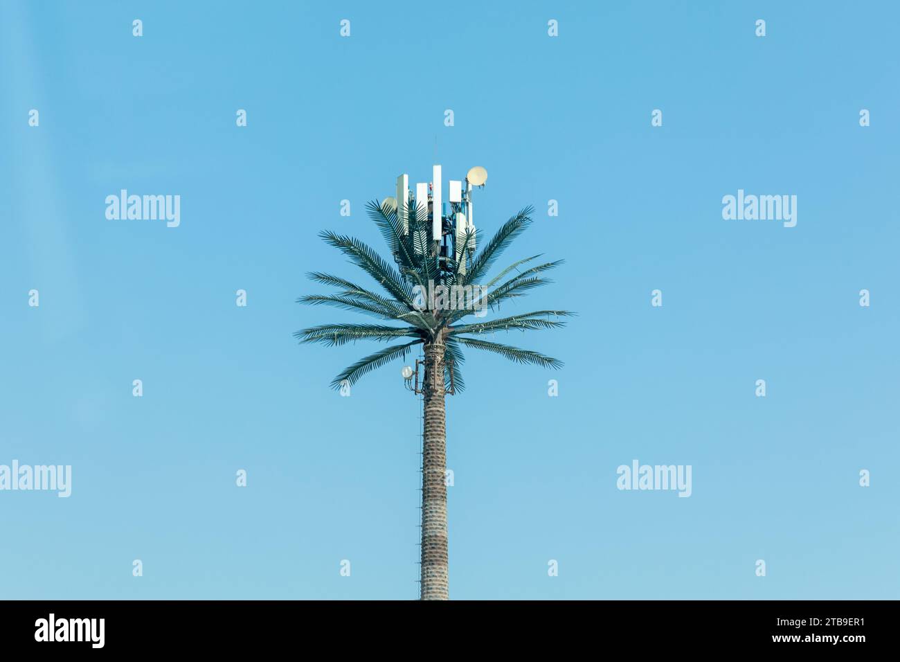 Sito di telefonia cellulare su una palma artificiale a Dubai Foto Stock