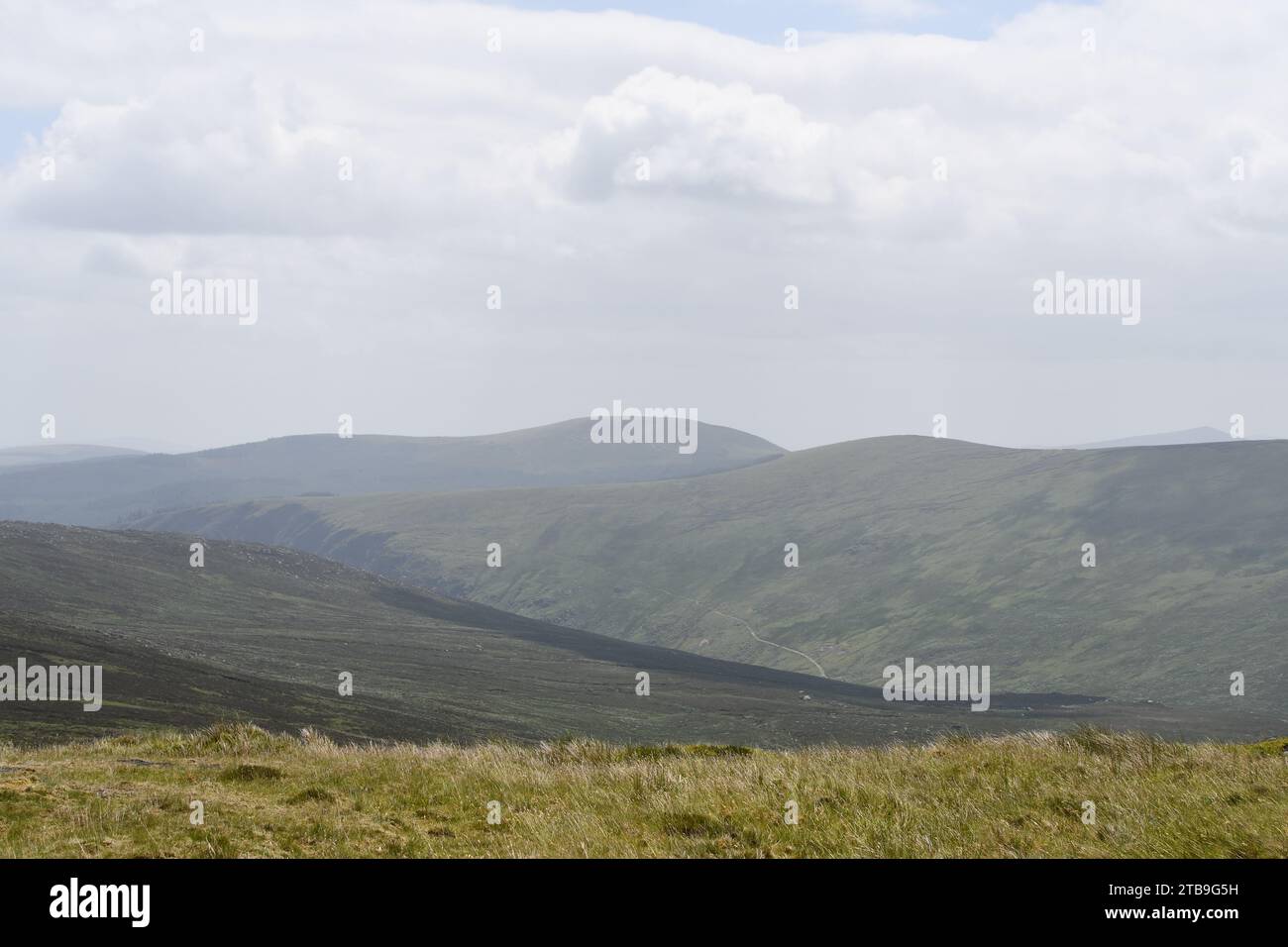 Turlough Hill, Wicklow Mountains, Irlanda Foto Stock