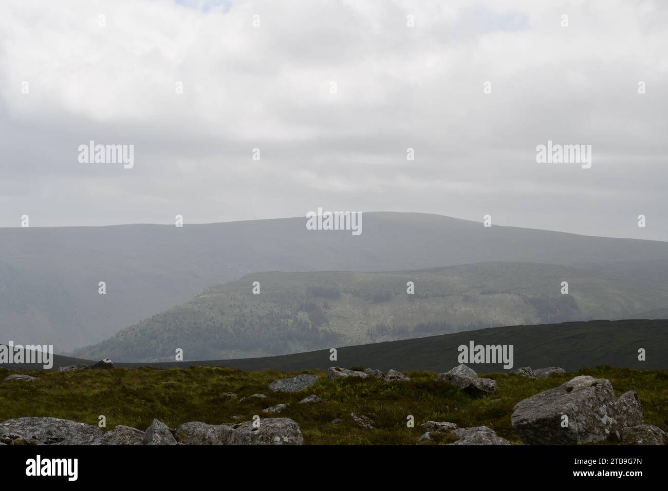 Turlough Hill, Wicklow Mountains, Irlanda Foto Stock