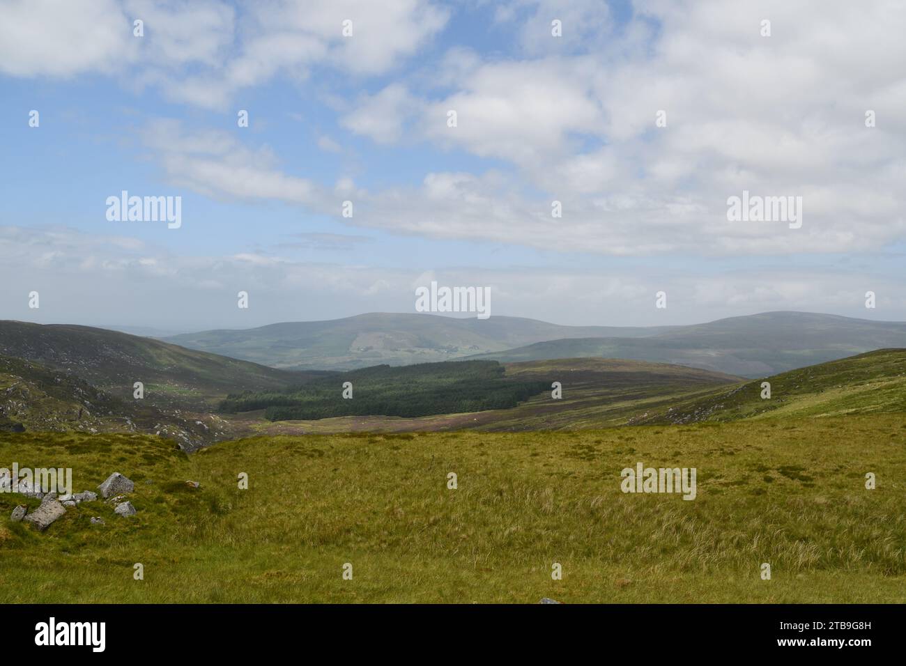 Turlough Hill, Wicklow Mountains, Irlanda Foto Stock
