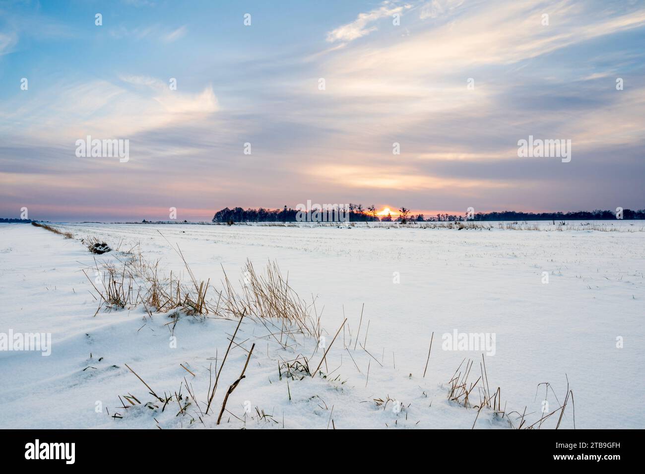 Tramonto invernale sul campo pieno di neve. Foto Stock