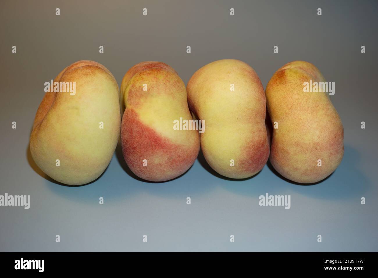 Quartet-of-Saturn Peaches-by-Raju-C-Reddy Foto Stock